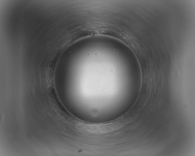 X0000071810030200606301238