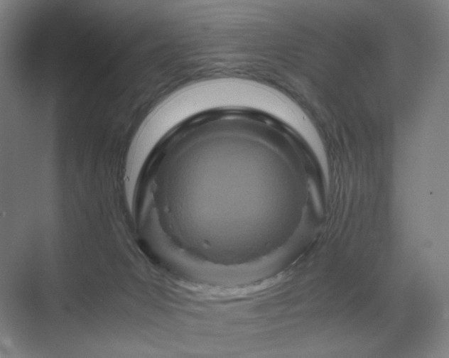 X0000071810031200606301238