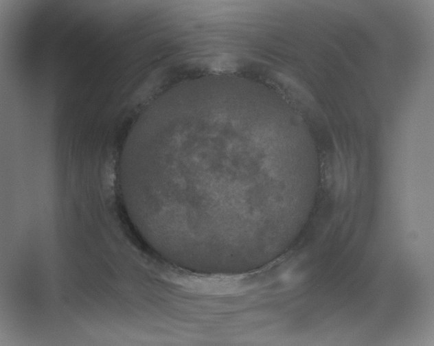 X0000071810032200606301238