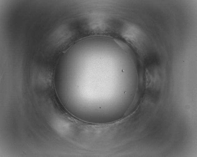 X0000071810033200606301238