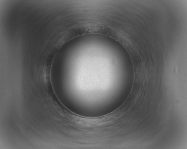 X0000071810034200606301238