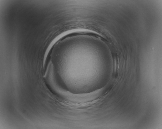 X0000071810035200606301238