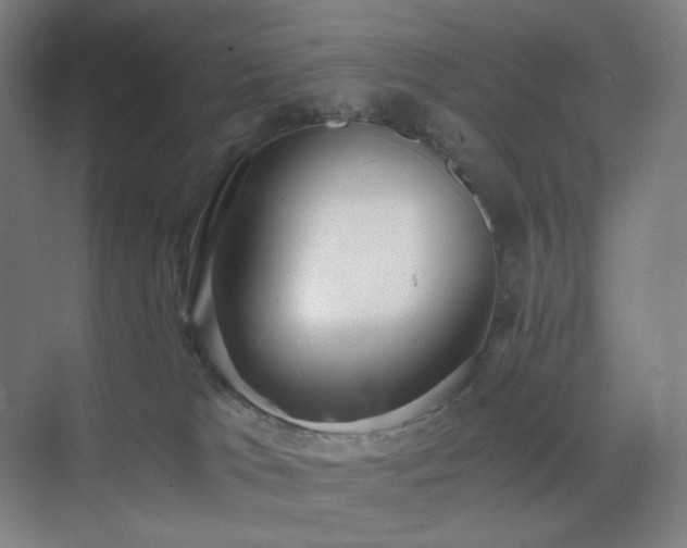 X0000071810037200606301238