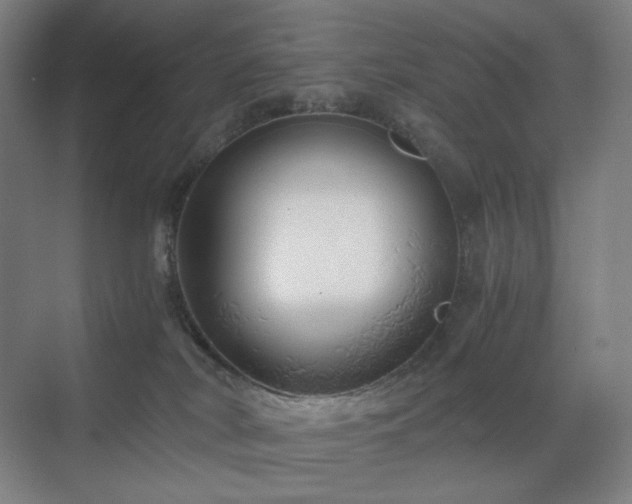 X0000071810038200606301238