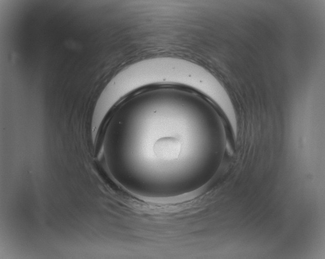 X0000071810039200606301238