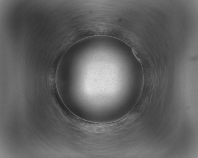 X0000071810040200606301238