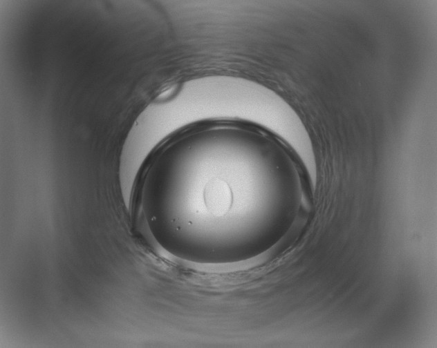 X0000071810041200606301238