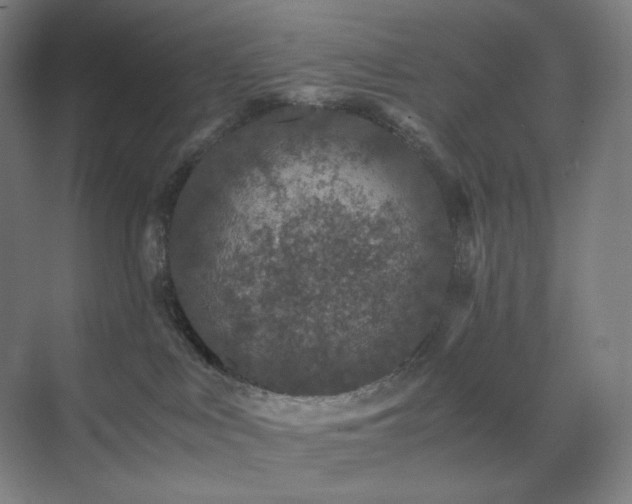 X0000071810043200606301238