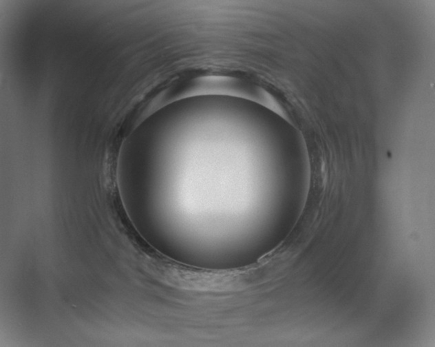 X0000071810044200606301238