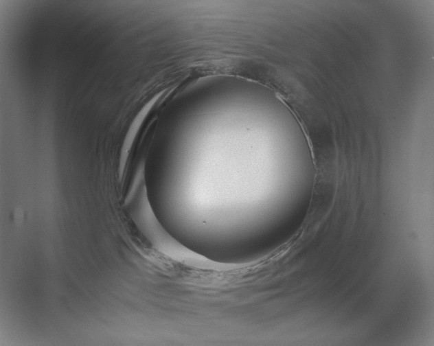 X0000071810045200606301238