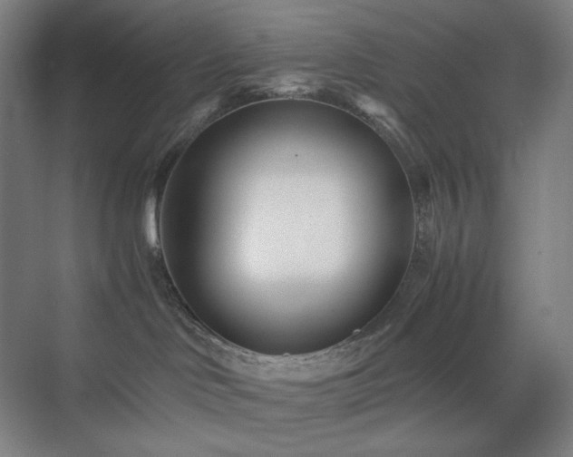 X0000071810046200606301238