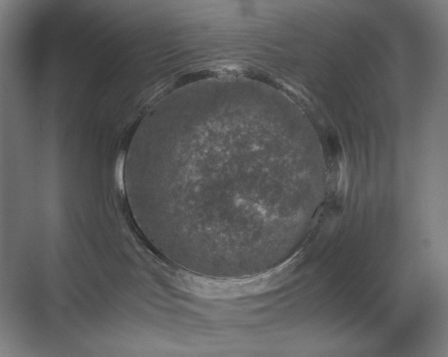 X0000071810047200606301238