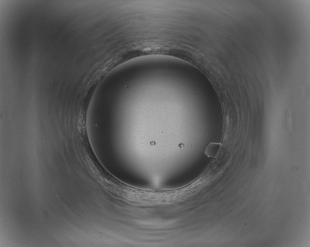 X0000071810048200606301238