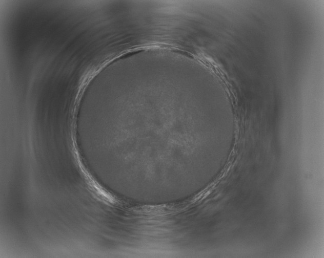 X0000071810049200606301237