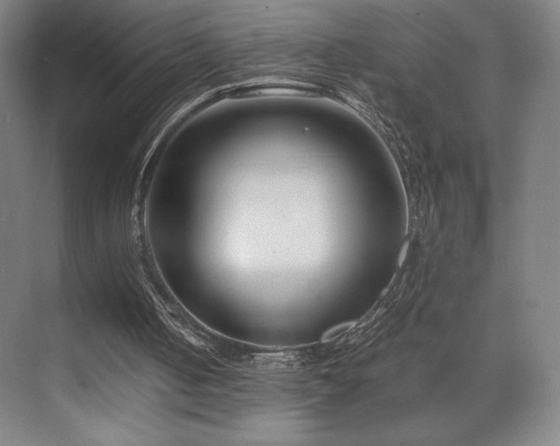 X0000071810050200606301237