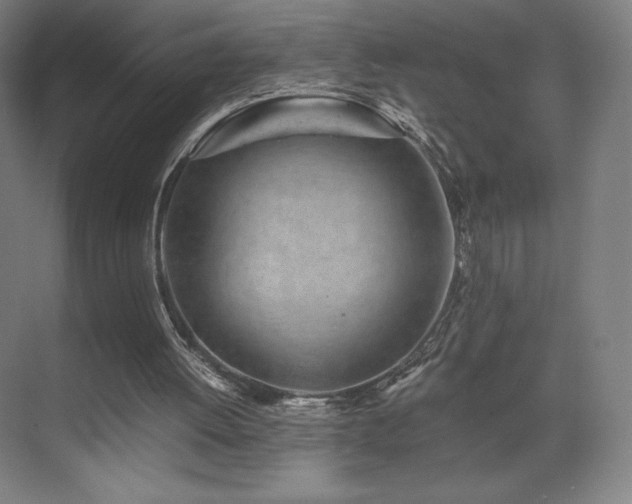 X0000071810052200606301237