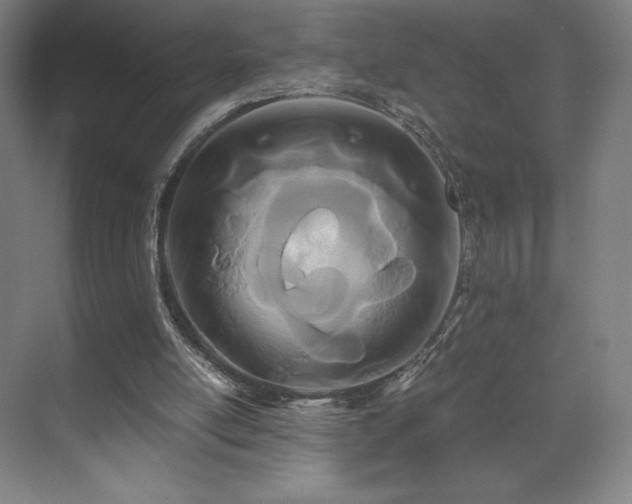 X0000071810054200606301237