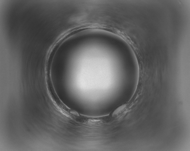 X0000071810055200606301237