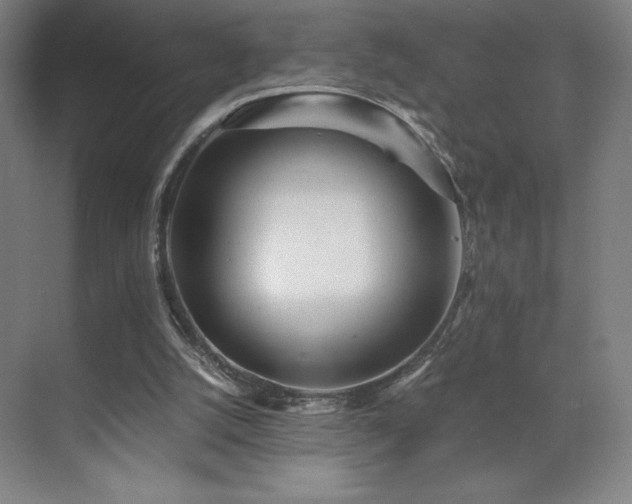 X0000071810056200606301237