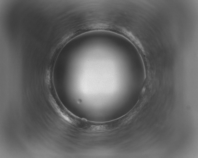 X0000071810057200606301237