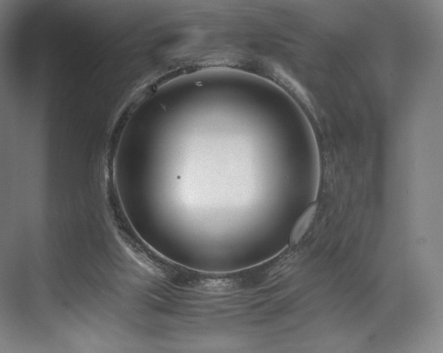 X0000071810059200606301237