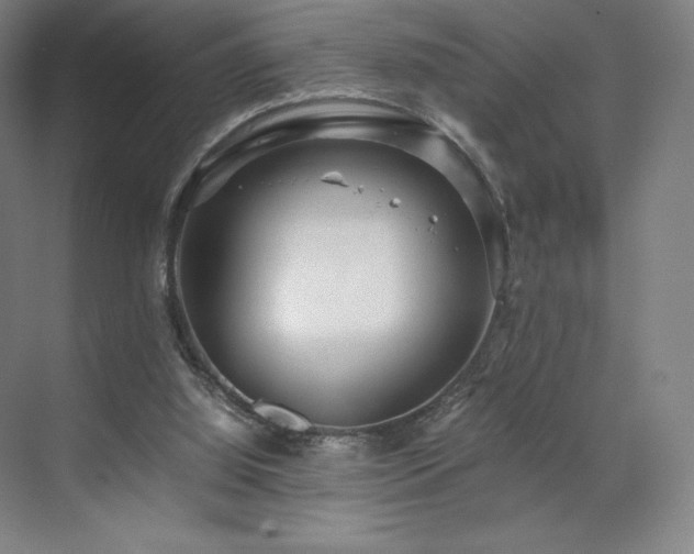 X0000071810060200606301237