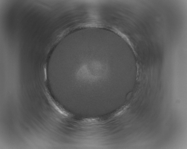 X0000071810061200606301237