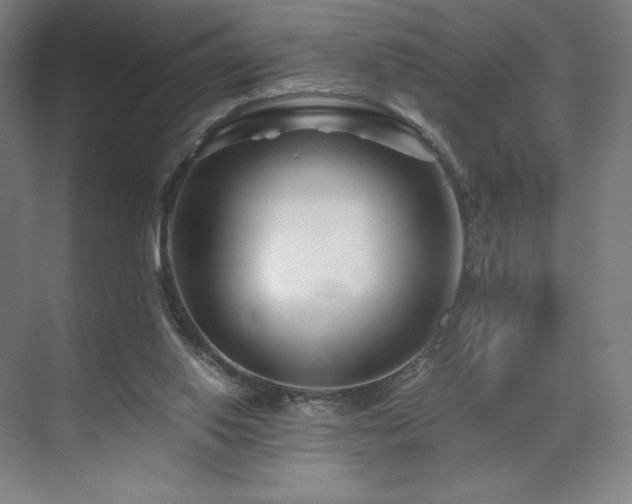 X0000071810062200606301237