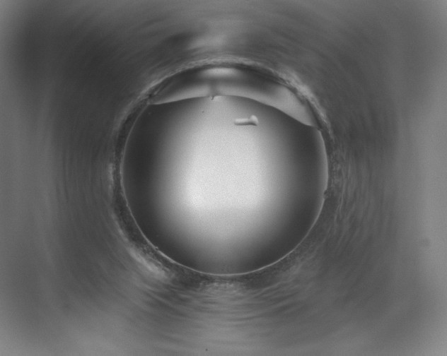 X0000071810063200606301237