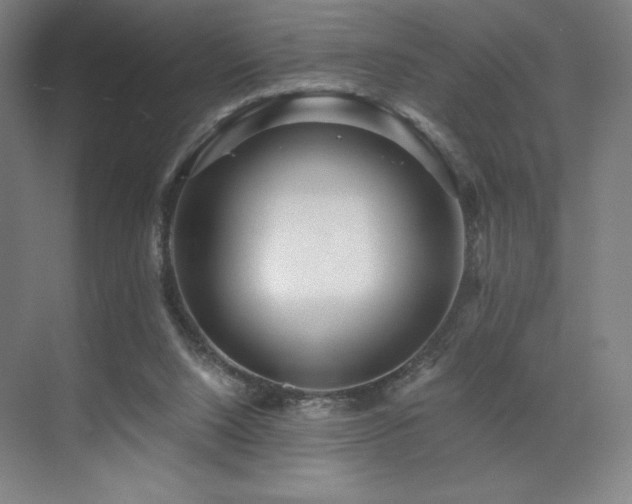 X0000071810064200606301237