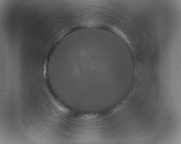 X0000071810065200606301238