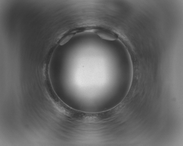 X0000071810066200606301238