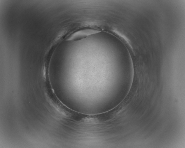 X0000071810067200606301238