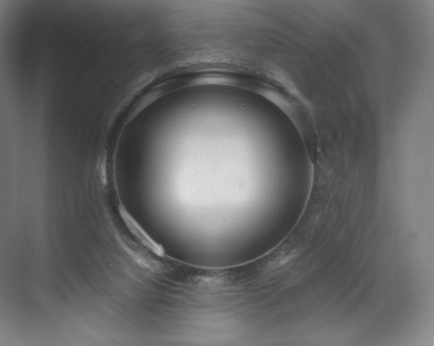 X0000071810068200606301238