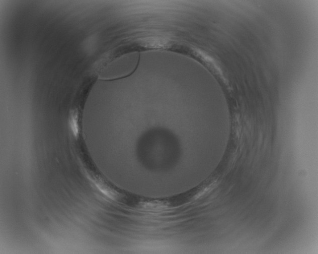 X0000071810069200606301238