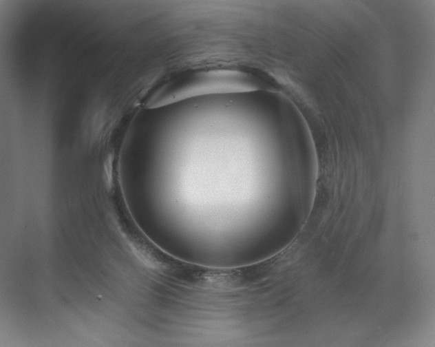 X0000071810070200606301238