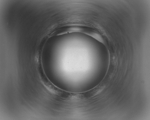 X0000071810072200606301238