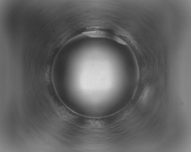 X0000071810073200606301238