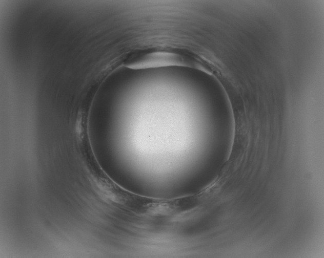 X0000071810074200606301238