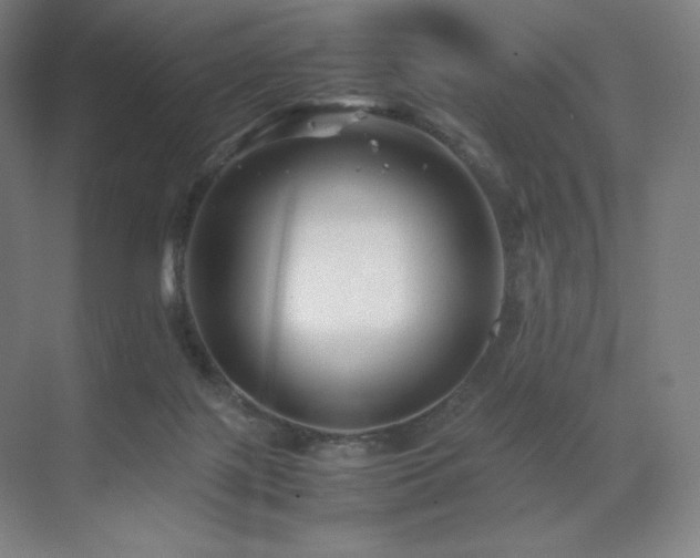 X0000071810075200606301238