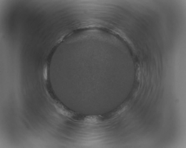 X0000071810076200606301238