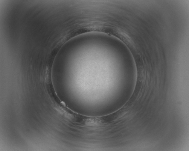 X0000071810077200606301238