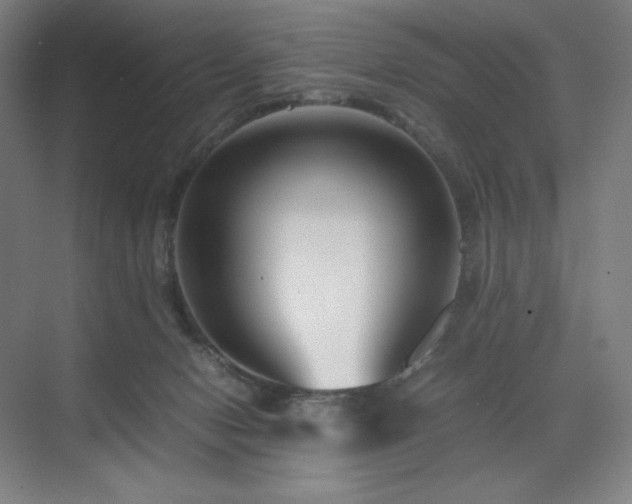 X0000071810078200606301238