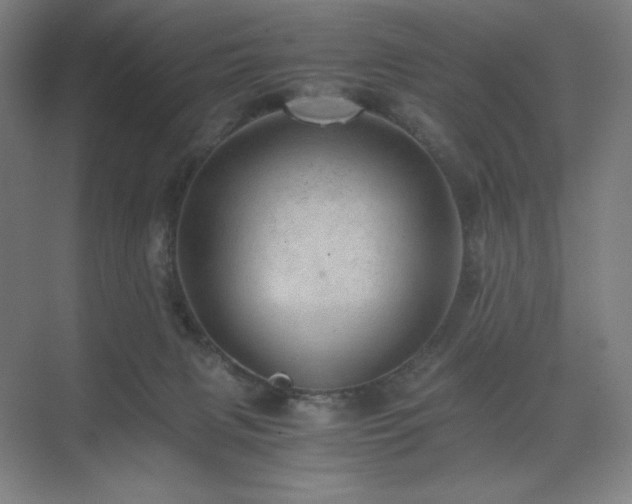 X0000071810079200606301238