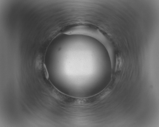 X0000071810080200606301238