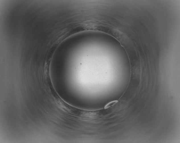 X0000071810081200606301238