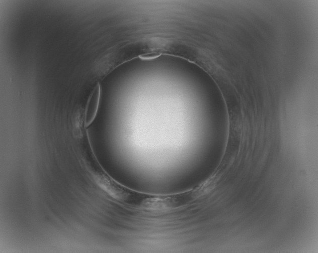 X0000071810082200606301238