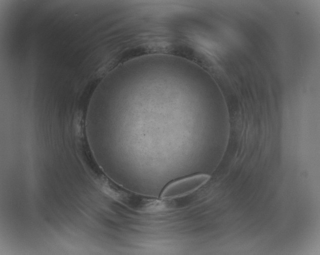 X0000071810083200606301238