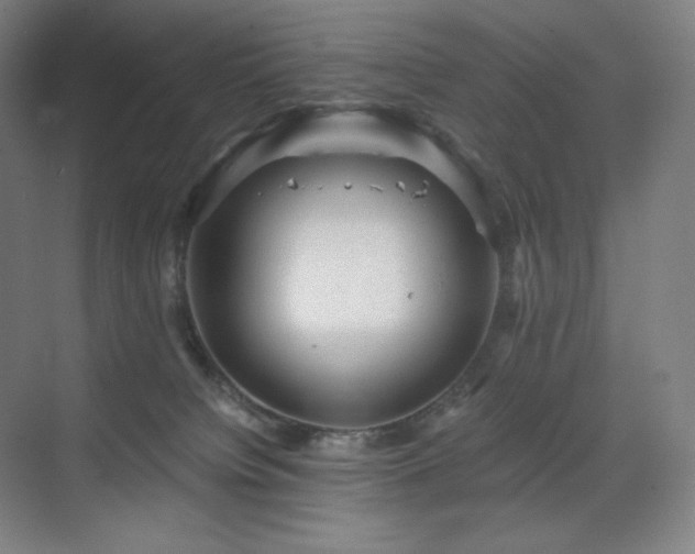 X0000071810084200606301238