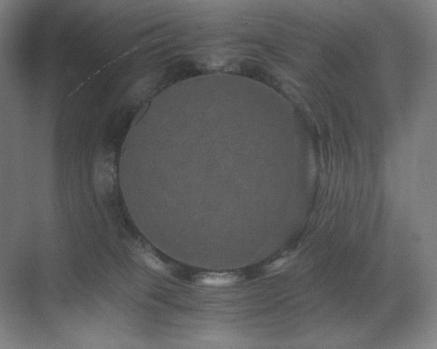 X0000071810085200606301238